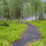 Muuttohaukka By Interhome *