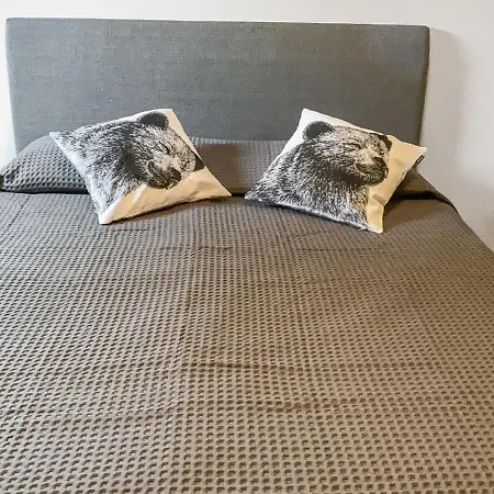 Muuttohaukka By Interhome Ruka