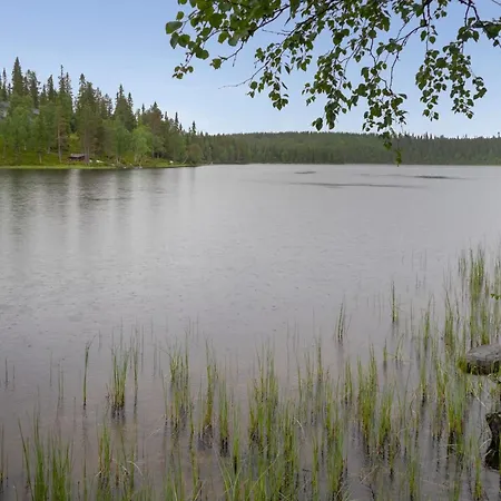 Muuttohaukka By Interhome * Ruka